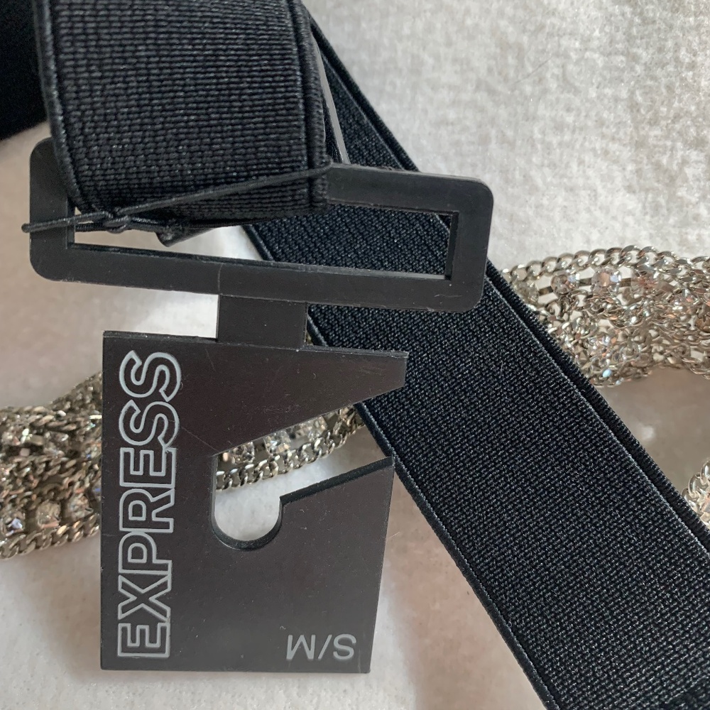 Express Rhinestone Stretch Belt - Picture 3 of 13